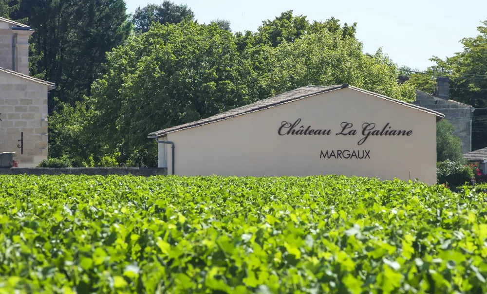 Vente de Vin rouge à Soussans